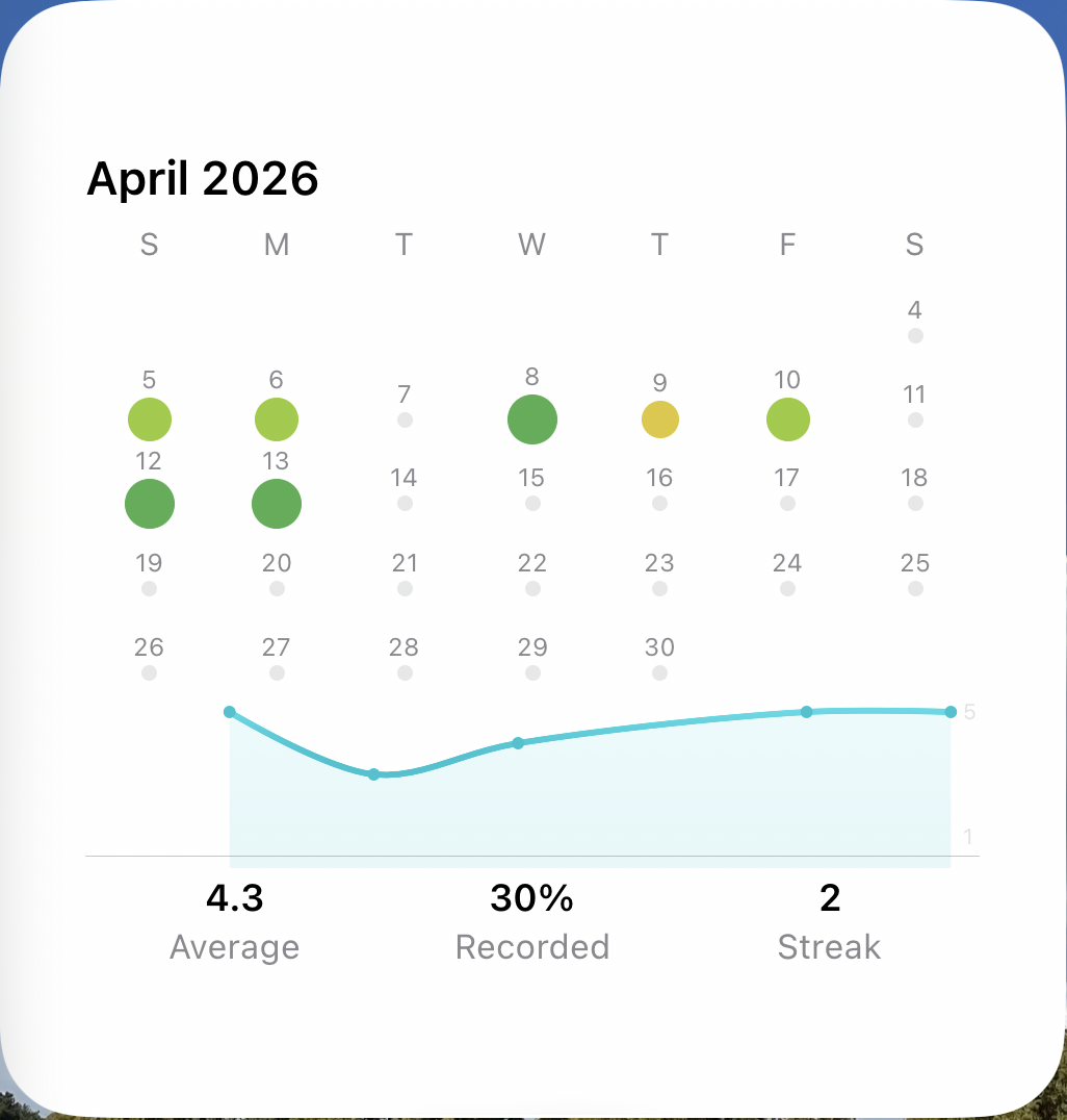 풀 플레이어 blur 배경